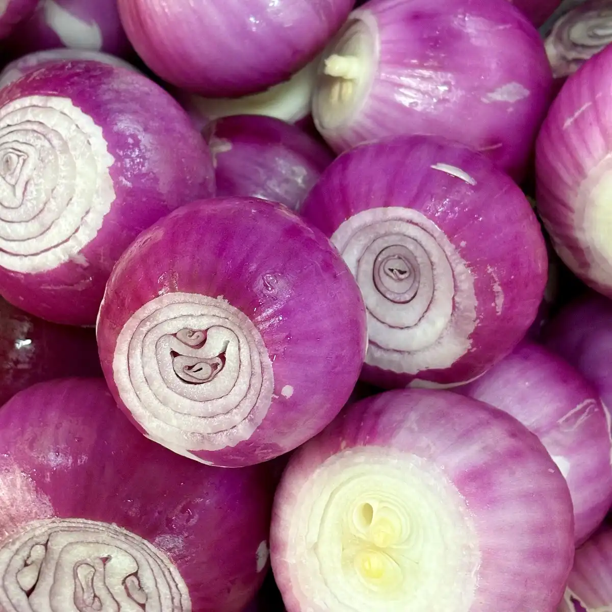 Onions Onions