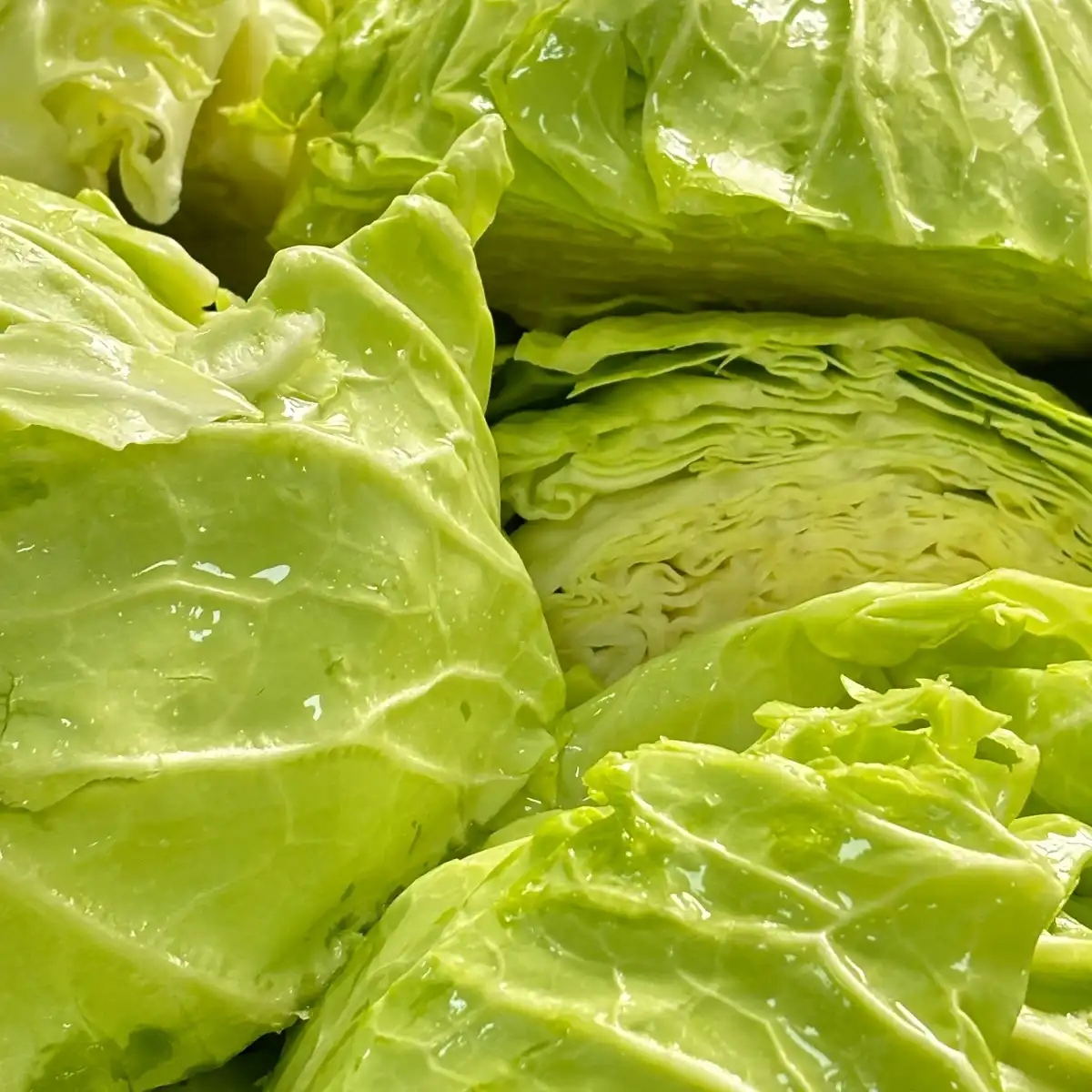 Kale