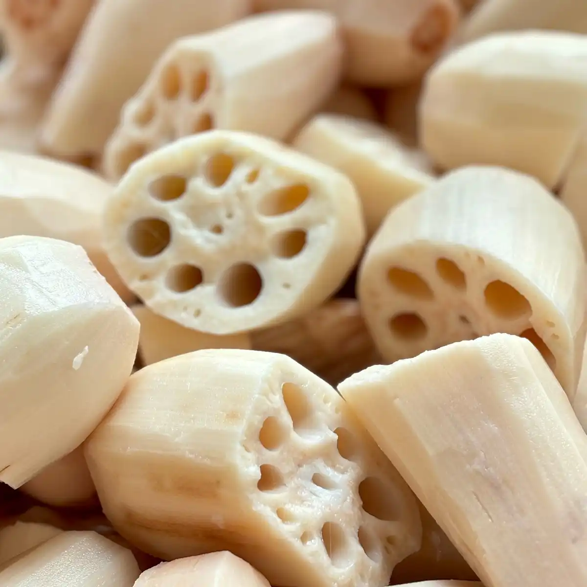 tushen lotus tushen lotus