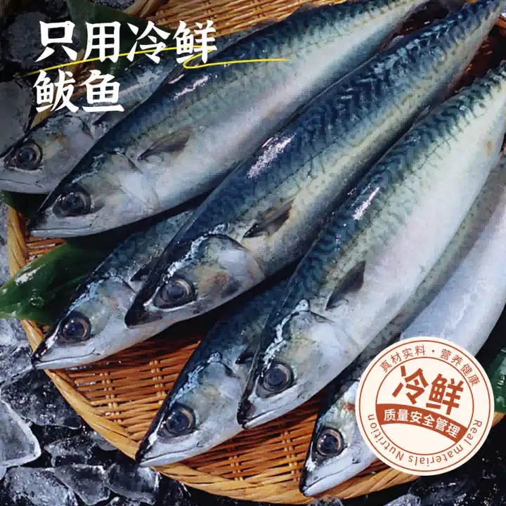 Fresh mackerel Fresh mackerel