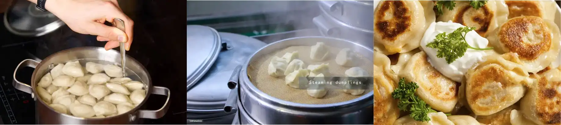 Pork and Scallion dumplings Cooking Methods Pork and Scallion dumplings Cooking Methods