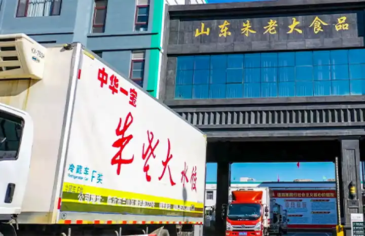 Beef and scallions dumplings Cold chain transportation advantages Beef and scallions dumplings Cold chain transportation advantages