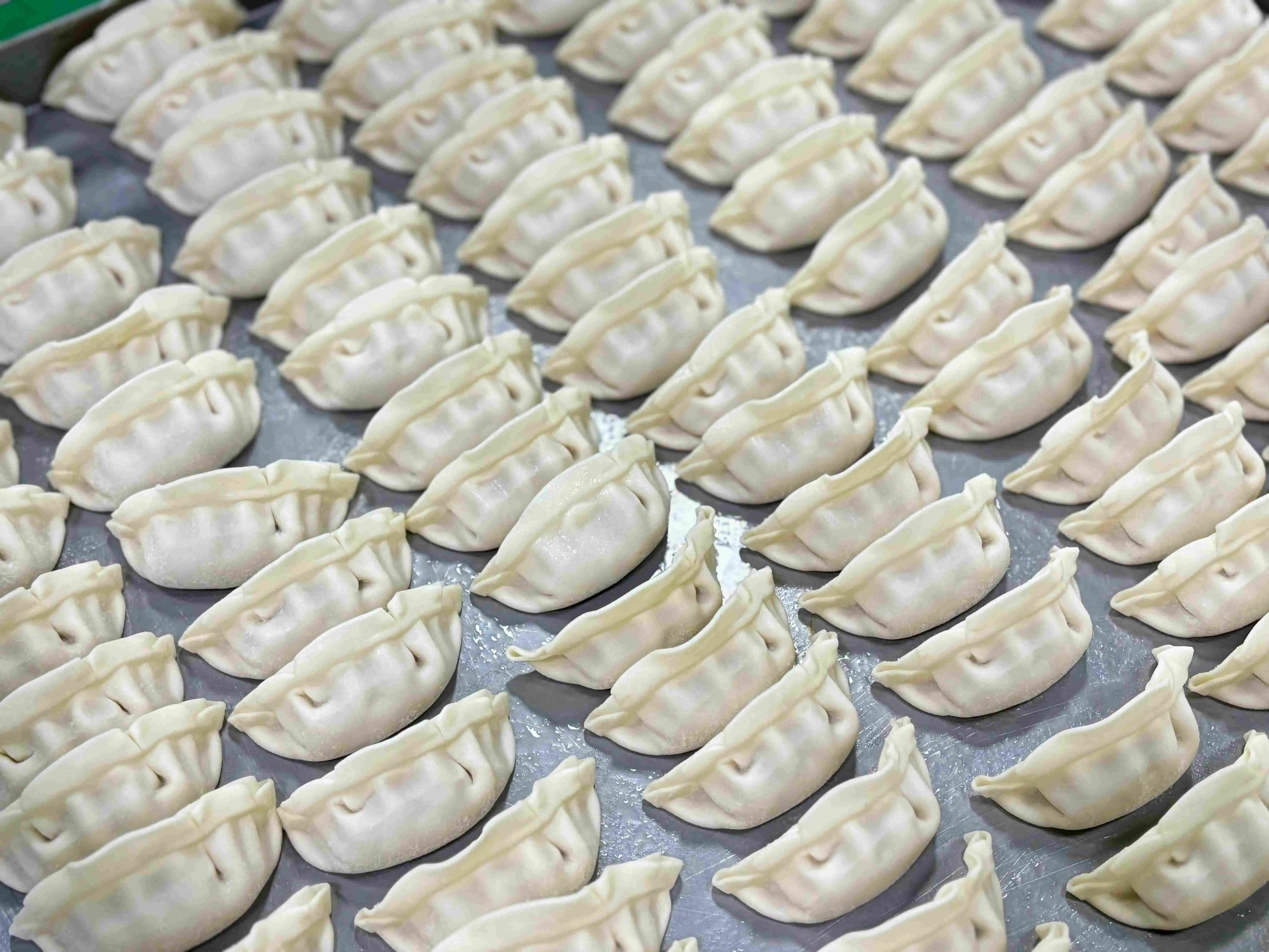 steamed pork and scallion dumplings