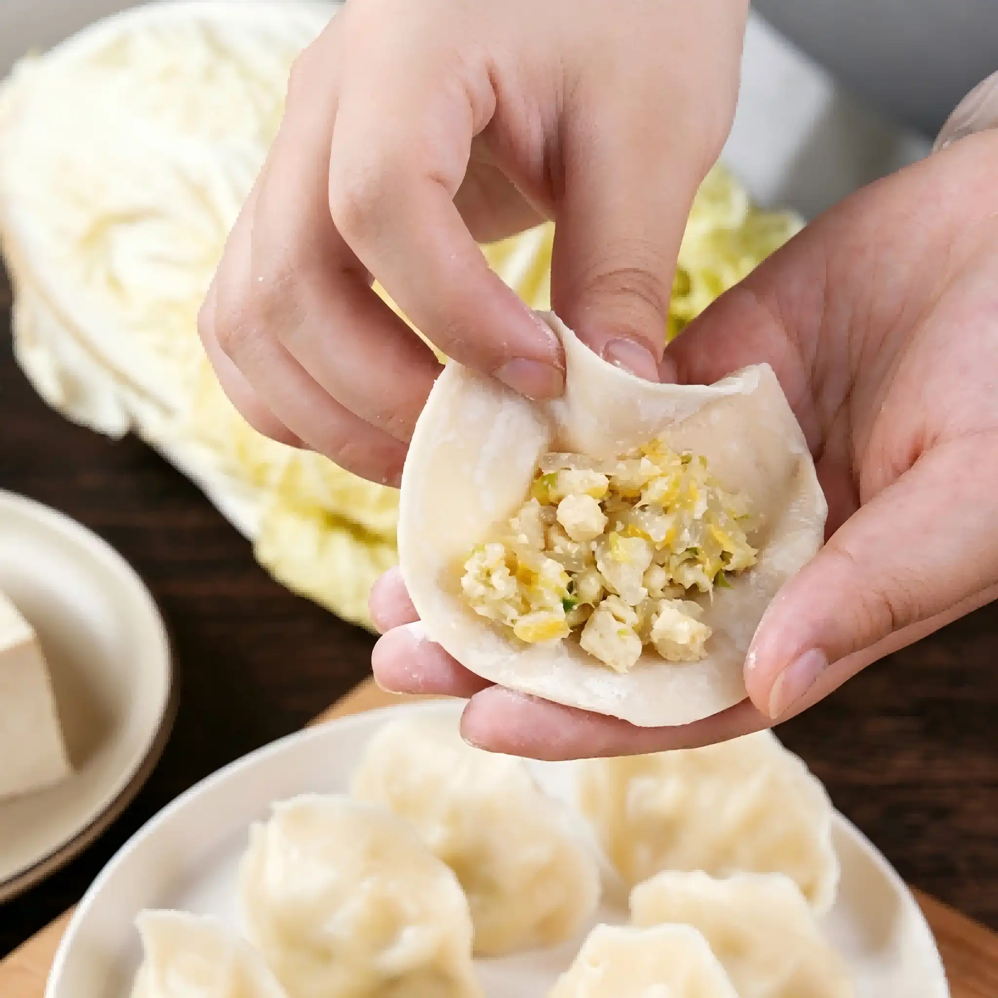 Chinese cabbage and Tofu dumplings Chinese cabbage and Tofu dumplings
