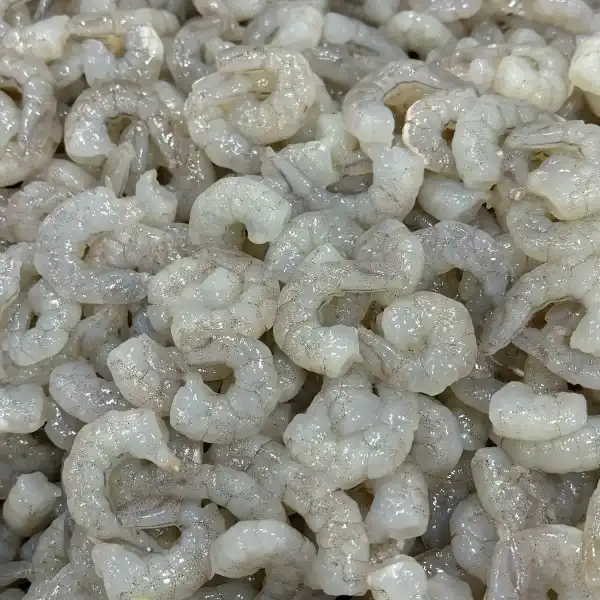 Fresh shrimps Fresh shrimps