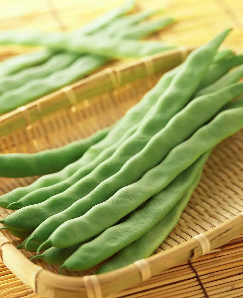 kidney bean