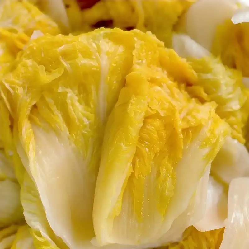 Pickled Chinese Cabbage